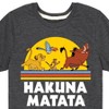 Boys' - Disney - Hakuna Matata Sunshine Short Sleeve Graphic T-Shirt - 2 of 4
