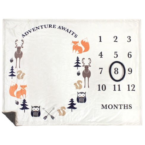 Milestone blanket cheap boy target