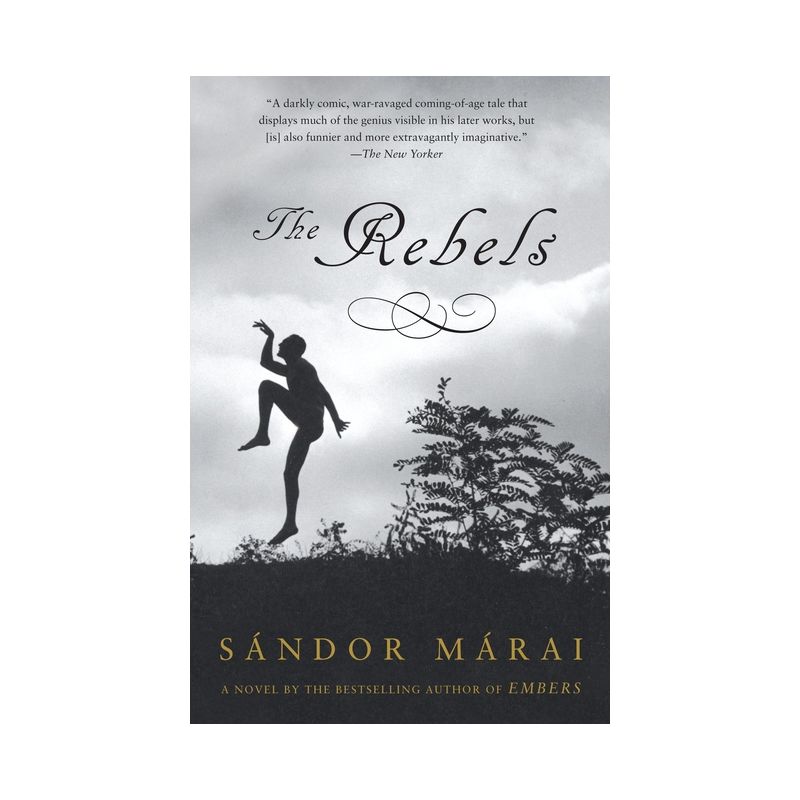 The Rebels - (Vintage International) by  Sandor Marai (Paperback), 1 of 2