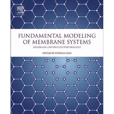 Fundamental Modeling of Membrane Systems - by  Patricia Luis (Paperback)