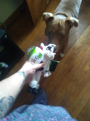 Guest review image 2 of 2, zoom in