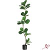 5FT/6FT/7FT Artificial Fiddle Leaf Fig Tree in Black Nursery Pot,Faux Potted Tree for Home Decor Fake Rubber Tree - 2 of 4