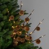 Northlight Lighted Pinecone Christmas Branch Bundle - 23" - Warm White LED - Set of 3 - 2 of 4