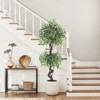 COZONY Artificial Ficus Tree for Indoor Home Decor, Faux Floor Plant in White Ceramic Planter with Pebbles & Green Fake Moss, Lifelike Fake Tree - 4 of 4
