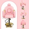 360° Swivel Barber Chair Hair Chair Stylist Chair with Heavy Duty Hydraulic Pump, Adjustable Headrest & Reclining Backrest, Reclining Salon Chair - 2 of 4