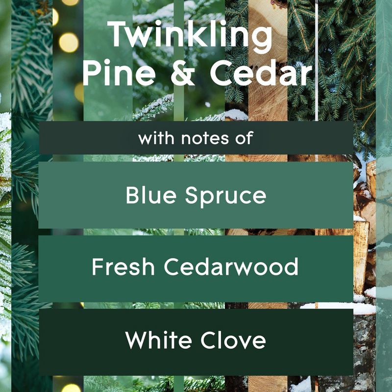 Glade Aerosol Room Spray Air Freshener - Twinkling Pine &#38; Cedar - 16.6oz/2pk, 6 of 17