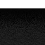 oregon state beavers