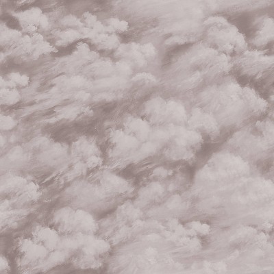 Tempaper Clouds Fog Self-Adhesive Removable Wallpaper Brown/Gray