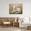 Stupell Industries Sunlight Lamb in Flowers Canvas Art - 3 of 4