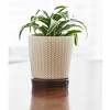 Southern Patio 8.5"H Alice Planter in Light Brown Finish (2 Pack) - Southern Patio - 3 of 4