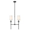 Z-Lite Emily 2 - Light Chandelier in  Matte Black - 2 of 4