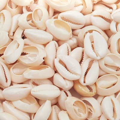 Juvale Cowrie Sea Shell Pendants, 1 Inch Dangle Charms for DIY Jewelry Making, Versatile Cowrie Shells for Crafting, 150 Pieces