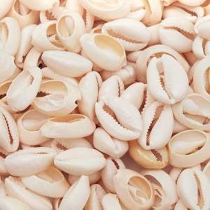 Juvale Cowrie Sea Shell Pendants, 1 Inch Dangle Charms for DIY Jewelry Making, Versatile Cowrie Shells for Crafting, 150 Pieces - 1 of 4
