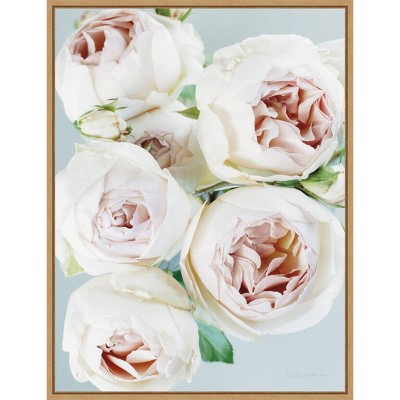 18" x 24" Early David Austin Roses by Elise Catterall Framed Wall Canvas - Amanti Art