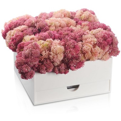 Waterdale Collection - Pink Vase Bencher Set