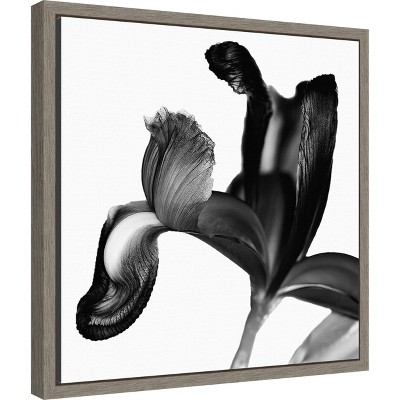 Black and White Botanical Iris Canvas Print with Frame, 16 x 16 inches