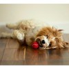 Midlee MINI Dog Tennis Balls, Red, 1.5" 12-Pack- Fetch Ball Laucher Pet Small Tennis Balls - 4 of 4
