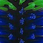 blue green (pack of 4)