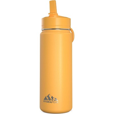 Hydrapeak 20oz Kids Stainless Steel Leak Proof Water Bottle with Straw Lid and Flexible Handle