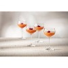 15oz 4pk Glass Gigi Cocktail Coupe Glasses - Zwiesel Glas: Dishwasher-Safe Drinkware Set for Cold Beverages, Service for 4 - 4 of 4