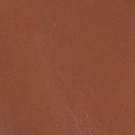 chestnut