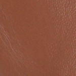 chestnut