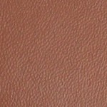 chestnut