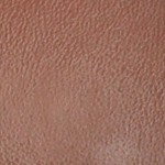 chestnut