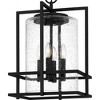 Quoizel Lighting Damien 4 - Light Pendant in  Earth Black - 4 of 4