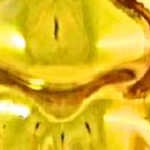 shiny