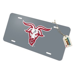 WPI Secondary Logo  Novelty Metal Vanity Tag License Plate - 1 of 4
