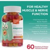 Chapter One by Zahler Great-Tasting Flavored Magnesium Gummies for Kids, Mixed Raspberry Mango Flavor - 60 Count, Certified Kosher - 3 of 4