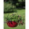 Gardener's Supply Company Viva Self-Watering Hanging Basket With Easy-Fill Water Port | 14 Inch Diameter Includes Hanging Chain & Hook - Red - 2 of 4
