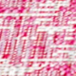 fuchsia/light gray