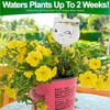 5 Star Super Deals Aqua Glass Plant Watering Cat Globes - Automatic Self Watering Drip Irrigation Ideal for Vacation Plant Care - 10" 6-7 oz 4pc Set - 3 of 4