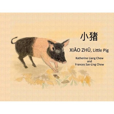 Xiao Zhu, Little Pig - by  Katherine Liang Chew (Paperback)