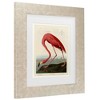 Trademark Fine Art - John James Audubon American Flamingo Matted Framed Art - image 3 of 4