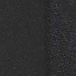 black dinosaur patte