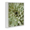 Stupell Industries Green Botanical Succulent Bloom, 24" x 24" - 3 of 4