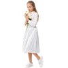 Girls Pleated Elastic High Waist A-Line Swing Maxi Long Metallic Shiny Shimmer Skirt - 4 of 4