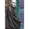 Trends International The Wizarding World: Harry Potter - Voldemort with Wand Unframed Wall Poster Prints - 4 of 4