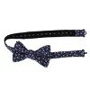 Ascentix Metallic Flowers and Leaves Bowtie - 3 of 3