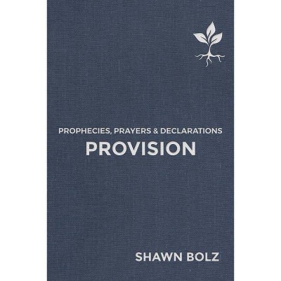 Provision, Volume 2 - (Prophecies, Prayers & Declarations) by  Shawn Bolz (Hardcover)