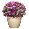 Set of 2 Corinthian Planters - Classic Home and Garden - 3 of 4