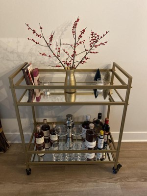 Palama Gold Bar Cart for The Home, … curated on LTK