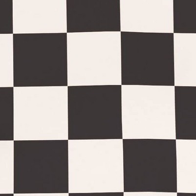 checkers black