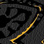 boston bruins