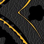 boston bruins
