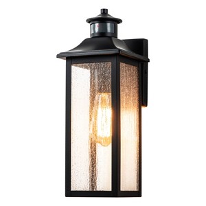 C Cattleya 1-Light Matte Black Motion Sensing Dusk to Dawn Outdoor Wall Lantern Sconce with Seeded Glass Shade - 1 of 4