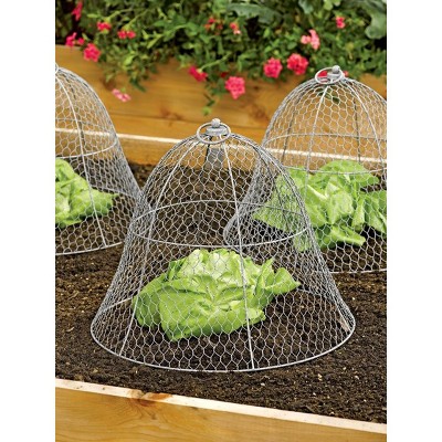 Gardener’s Supply Company Sturdy Chicken Wire Cloche Plant Protector & Cover | Sturdy Metal Cage Garden Protection for your Plants and Seedlings | No Assembly Required -   16" in Diameter x 12-1/2" H